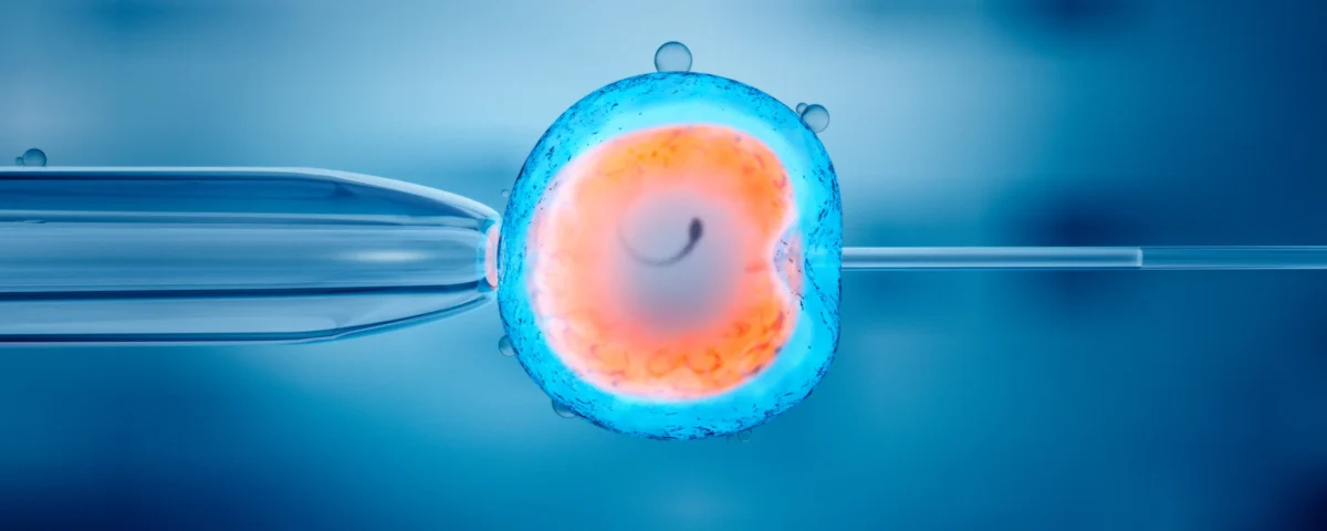 Your Guide to the IVF Process and What Comes Next