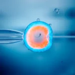 Your Guide to the IVF Process and What Comes Next