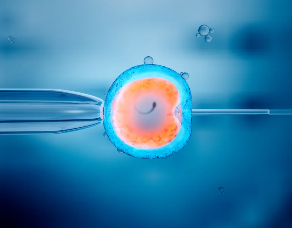 Your Guide to the IVF Process and What Comes Next
